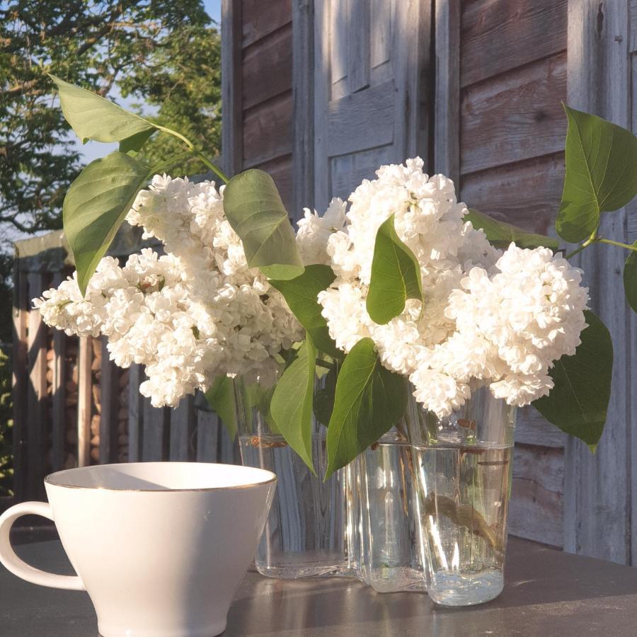 Ronehamn Bed And Breakfast Hemse Extérieur photo